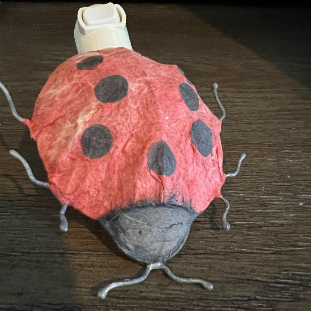 Rustic Whimsical paper-mâché ladybug  🐞 Nightlight - Picture 3 of 6